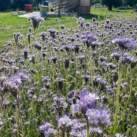 Luxusní stan Apidomcek Na Gazdovom Dvore