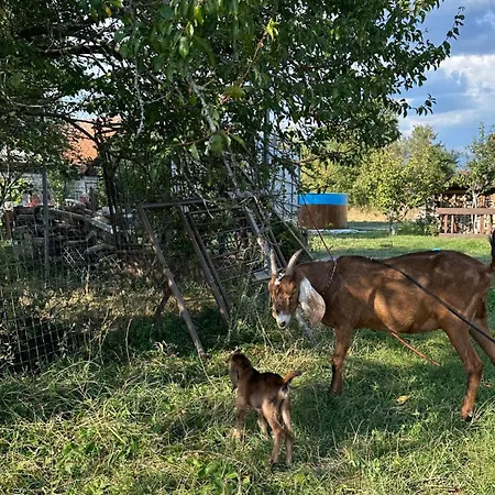 Luxusní stan Apidomcek Na Gazdovom Dvore *