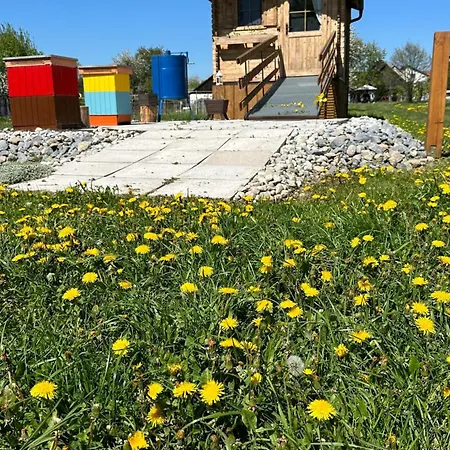 Apidomcek Na Gazdovom Dvore